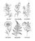 On the Bright Side Coloring Book: Floral Patterns to Help You Relax, Unwind, and Focus on the Good